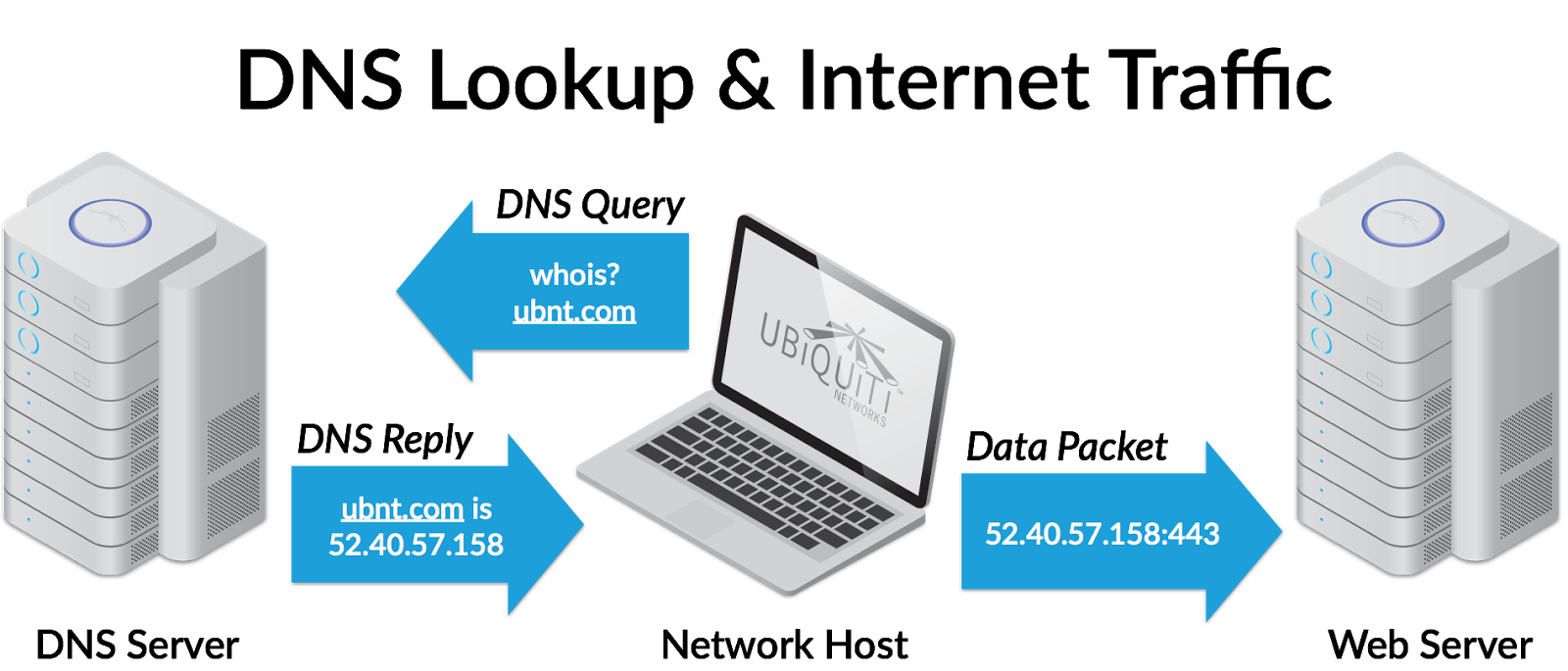 DNS Lookup